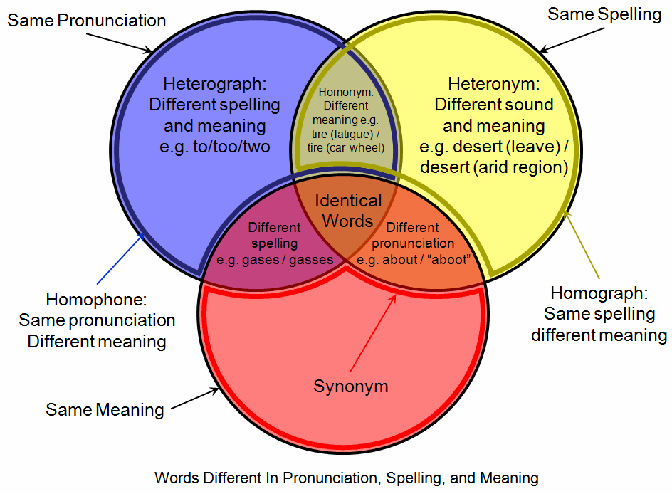 Quad Venn diagram for synonyms: All the synonyms from all concepts from